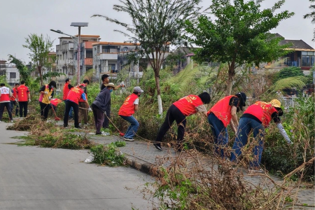 大涌镇：党员群众齐上阵 环境整治不停歇