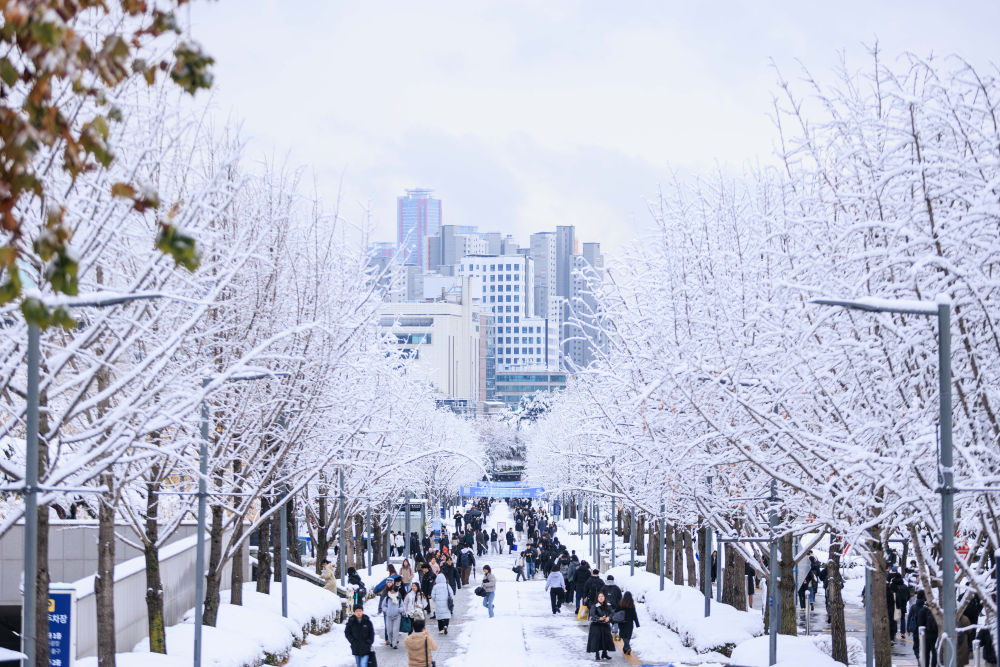 韩国首尔遇百年来11月最大降雪，全国数百航班受影响