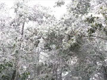 冬藏哲韵｜人文天地·南海潮