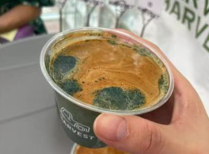 “万物皆可+”！掺凉茶、洒松露、种苔藓……咖啡的融合度还是太广了