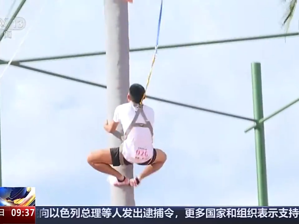 爬树也有比赛了？零距离看运动员争战“椰树之巅”🌴 