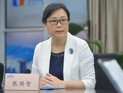 广东省委常委张国智，新职明确