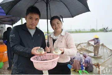 但爱鲀鱼肥，中山坦洲90后夫妇塘头摸索10年带领养殖户增收