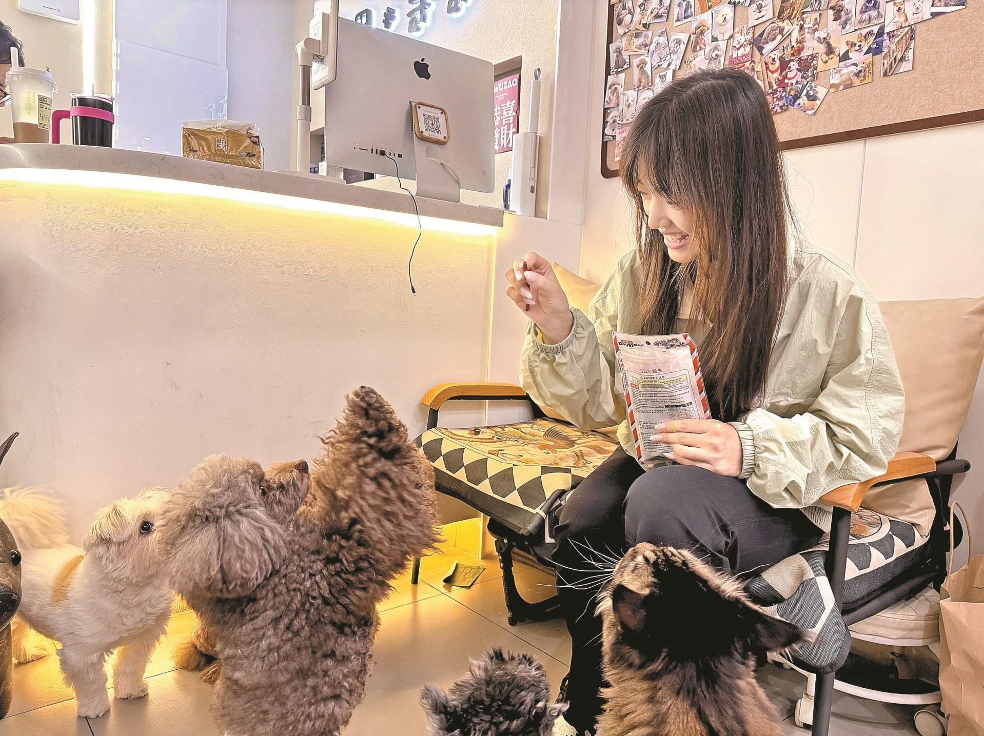晶报特别报道│我养“你”啊！