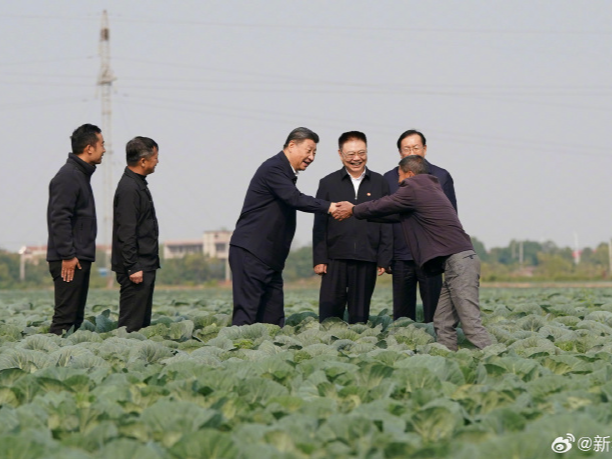 习近平：推进中国式现代化，必须加快推进乡村振兴