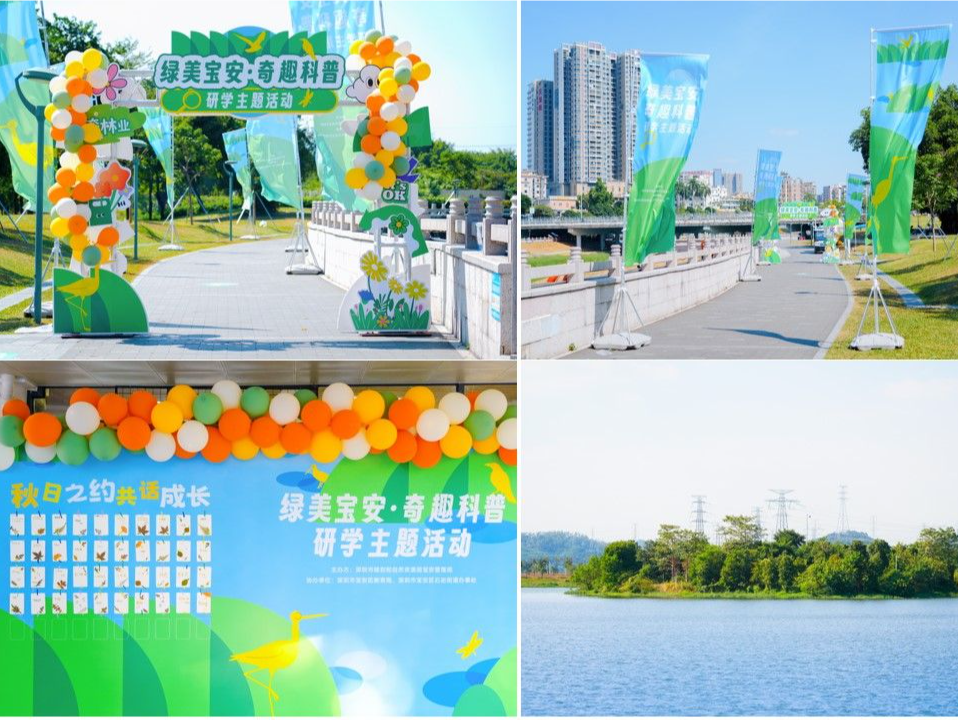 深圳市规划和自然资源局宝安管理局举办“绿美宝安 奇趣科普”研学活动