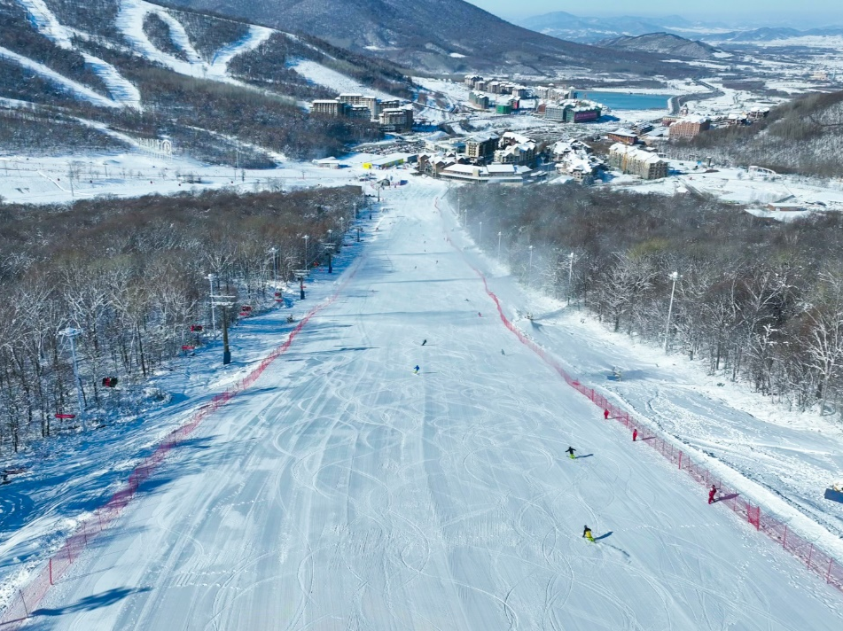 “北雪南移”！广州深圳成滑雪培训热门搜索城市｜微观察 