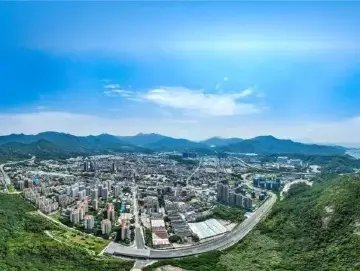 深圳一周丨各区书记区长在忙啥？（11月18日-11月24日）