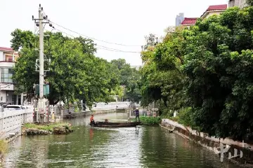 “百千万”攻坚战·中山治水丨岸边绿道成为居民散步“健身走廊”，来看港口镇水岸共治新成效→