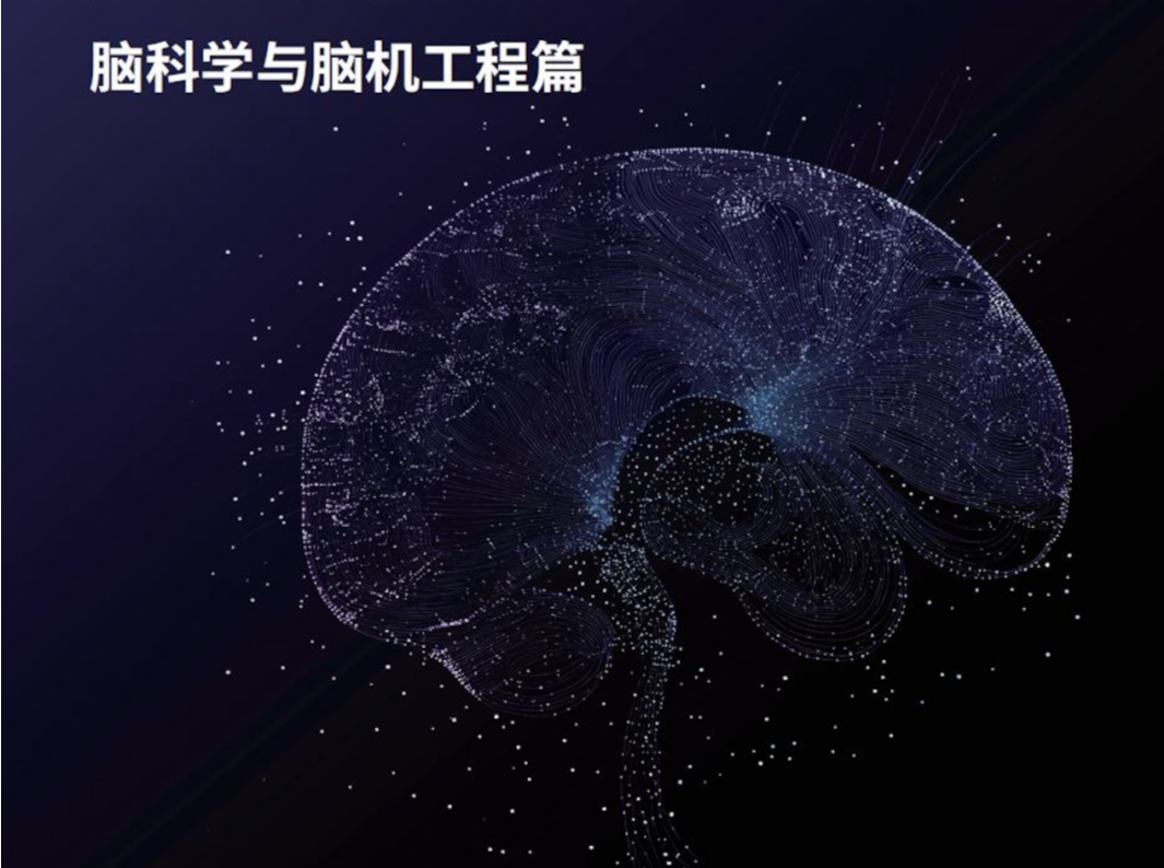 《2024产业科技进展—脑科学与脑机工程篇》在西丽湖论坛发布