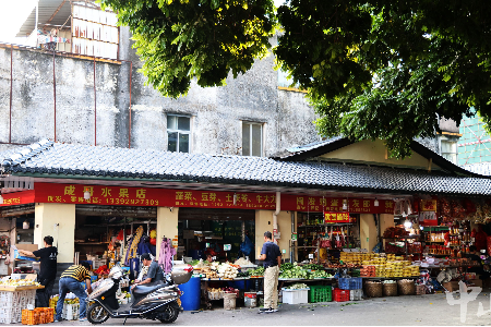 “百千万工程”镇街巡礼⑧丨石岐街道：古城“蝶变焕新”，老街人气燃旺