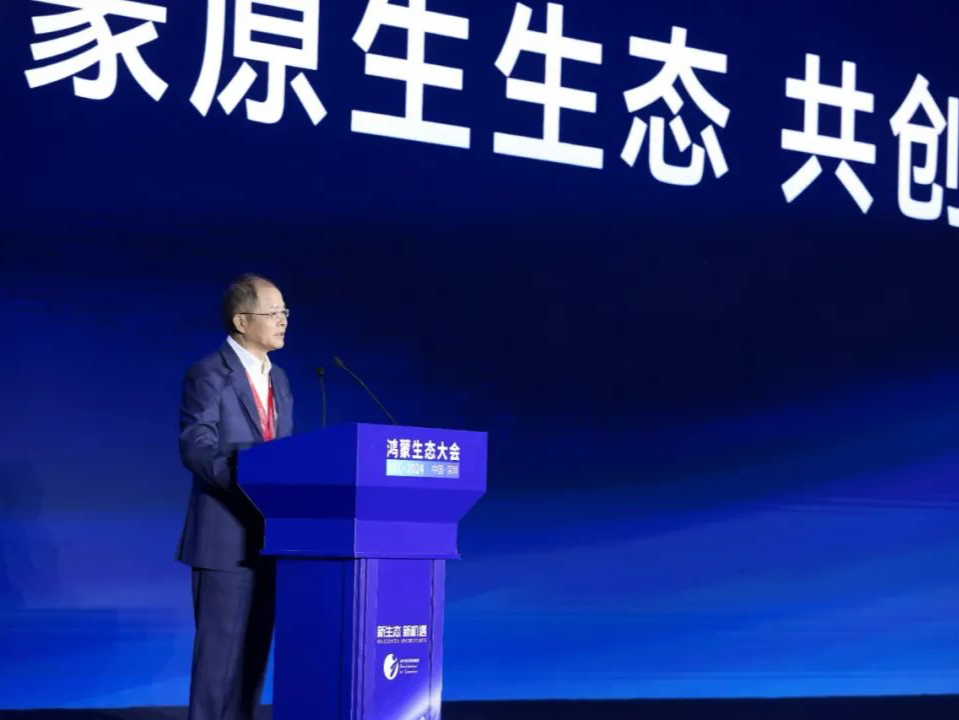 10万，鸿蒙生态新目标