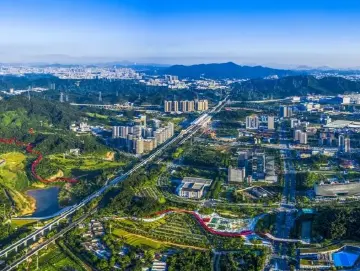 光明街道：AI赋能微治圈 绘就善治新“枫”景
