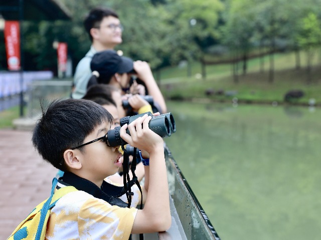观鸟、爱鸟、护鸟，东莞400多名中小学师生相聚佛灵湖