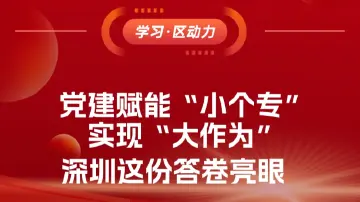 党建赋能“小个专”实现“大作为”，深圳这份答卷亮眼 | 学习·区动力