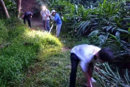 退休不褪色！中山大涌“银发”志愿者连续8年自发清理登山径