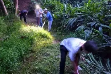 退休不褪色！中山大涌“银发”志愿者连续8年自发清理登山径