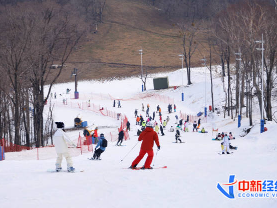 “请了6天年假”，第一批南方游客，已经在东北滑雪了