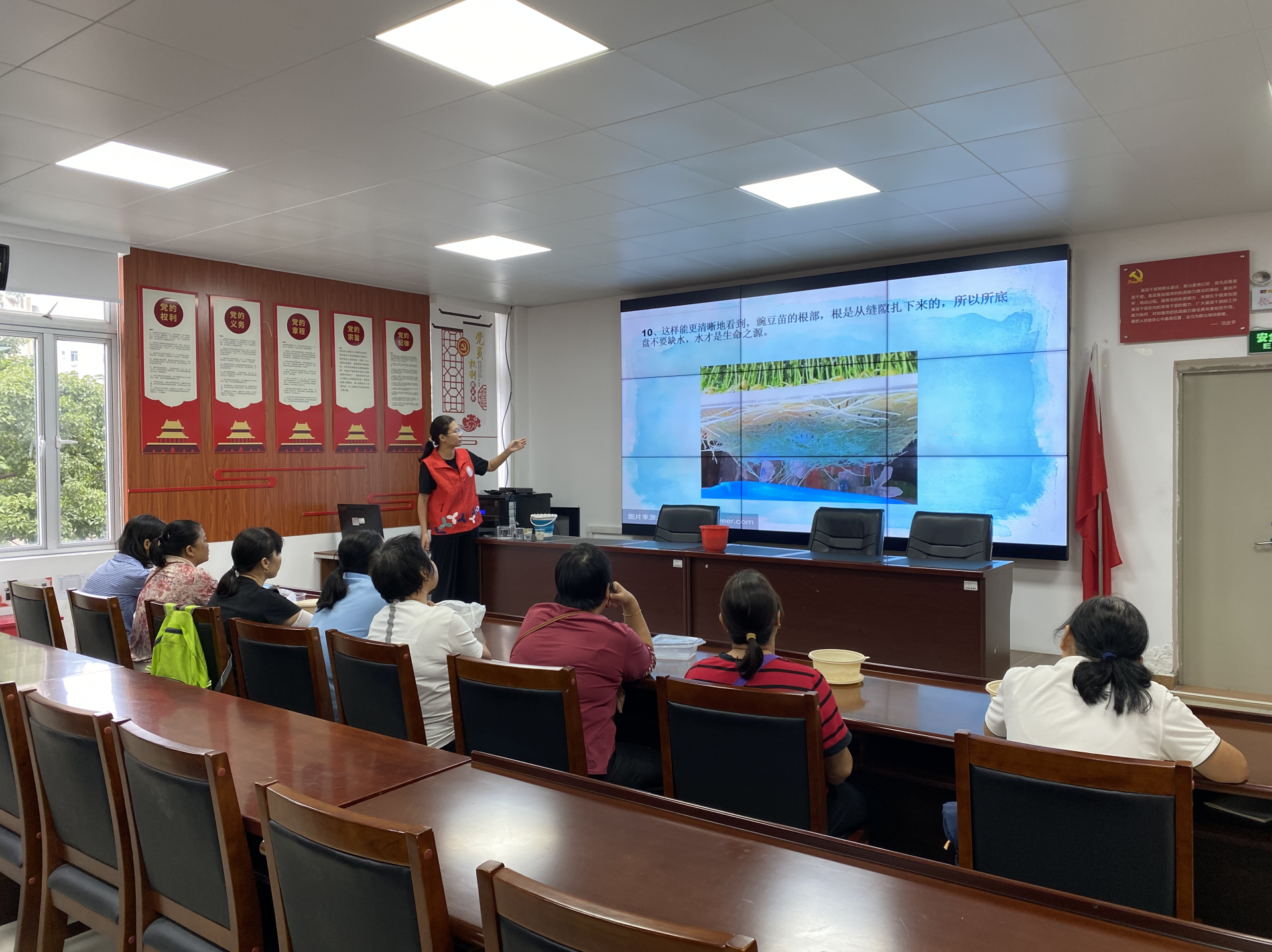 “垃圾”的蜕变：环保行动的力量