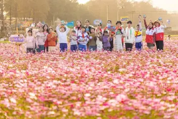 巧用画笔扮靓乡村，中山这支志愿服务队助力美丽乡村建设