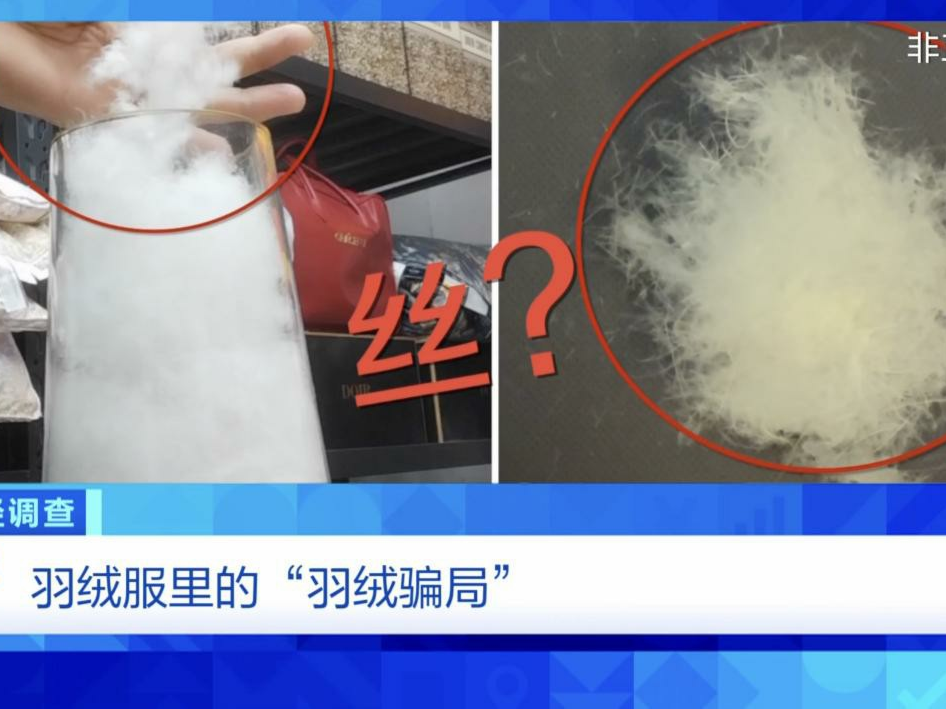 “羽绒骗局”曝光：儿童羽绒服也造假，检测报告成本一两元钱