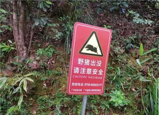深议 | 保护游客安全措施要更周全