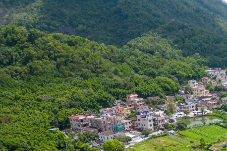 中山全市森林火险橙色预警生效，注意防御！