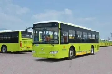 直达中山客运口岸！3条定制公交线路28日起开通