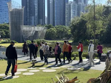 鹿丹村社区开展“长者游洪湖公园”秋日之旅