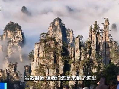 韩国、德国游客都来了！我国冬季入境游持续火热