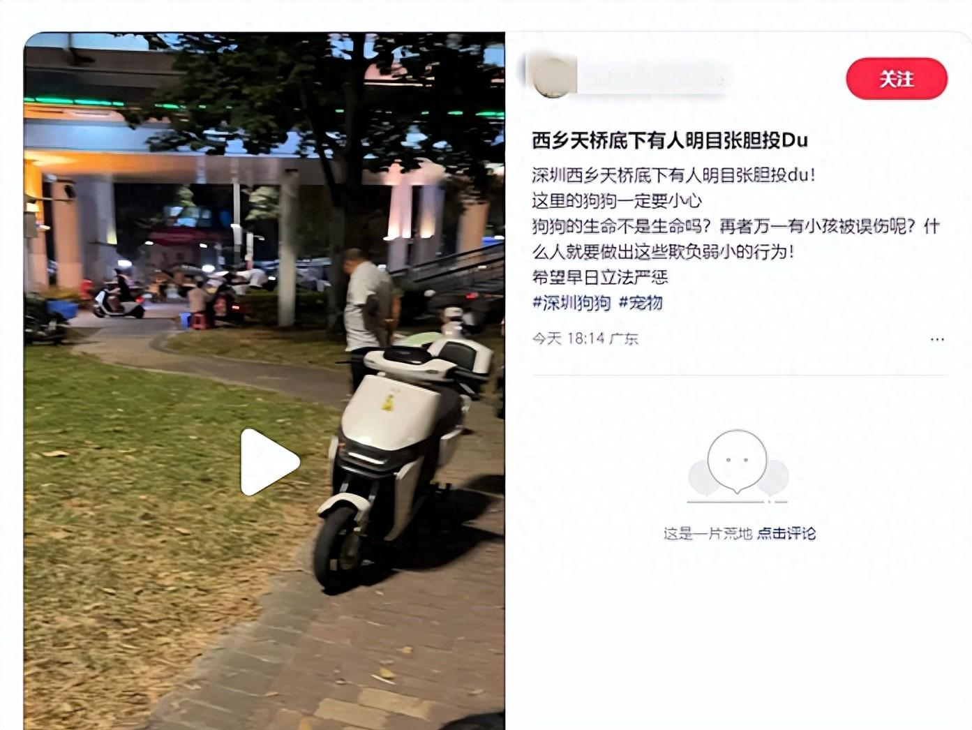 深圳天桥绿化带有人投放毒狗药？宝安西乡城管回应：未发现相关可疑品