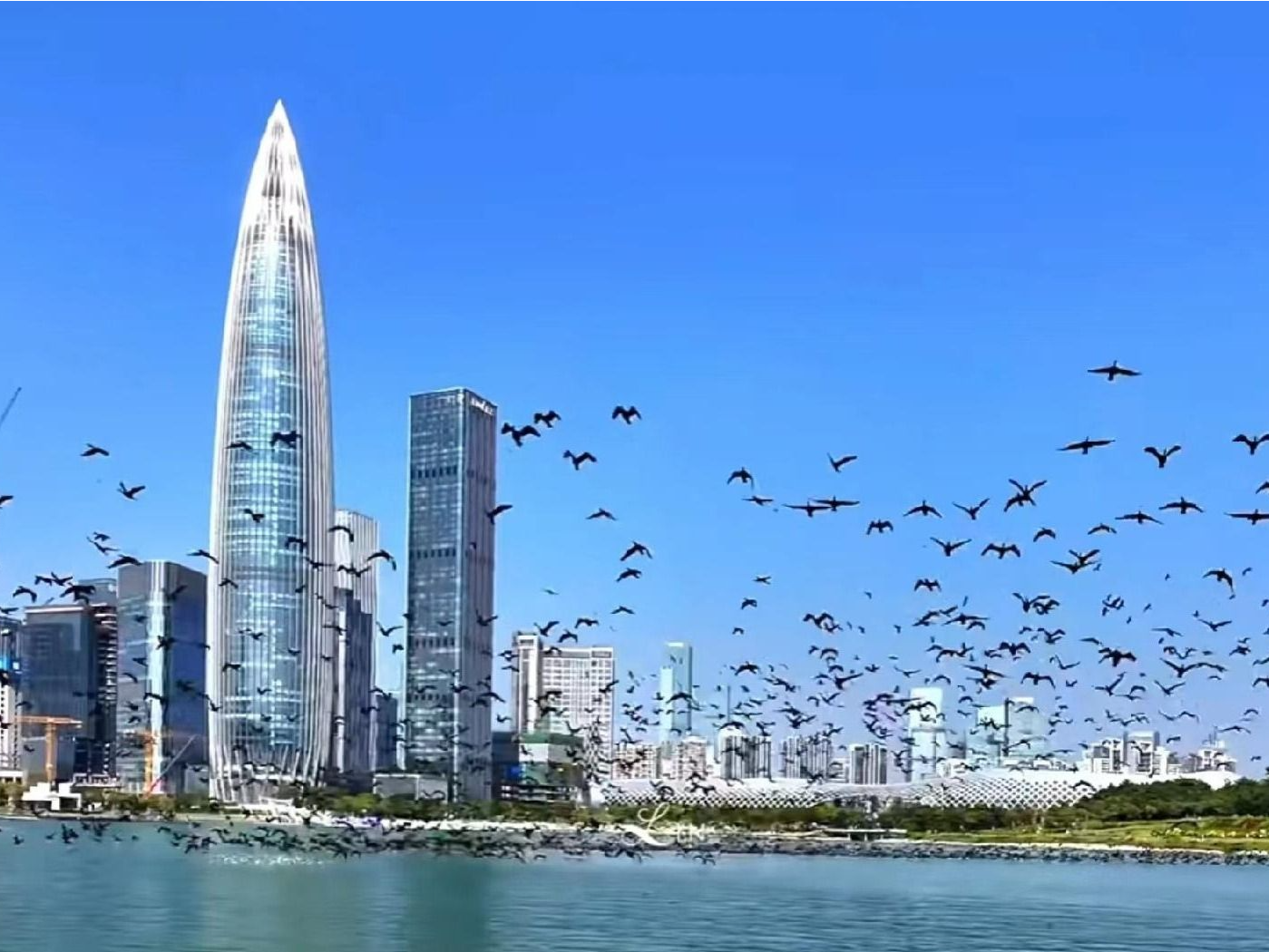 国际红树林中心与部分国家签署红树林保护协议