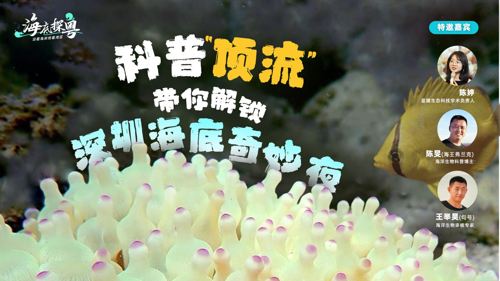 就在今晚！科普“顶流”带你解锁深圳海底奇妙夜