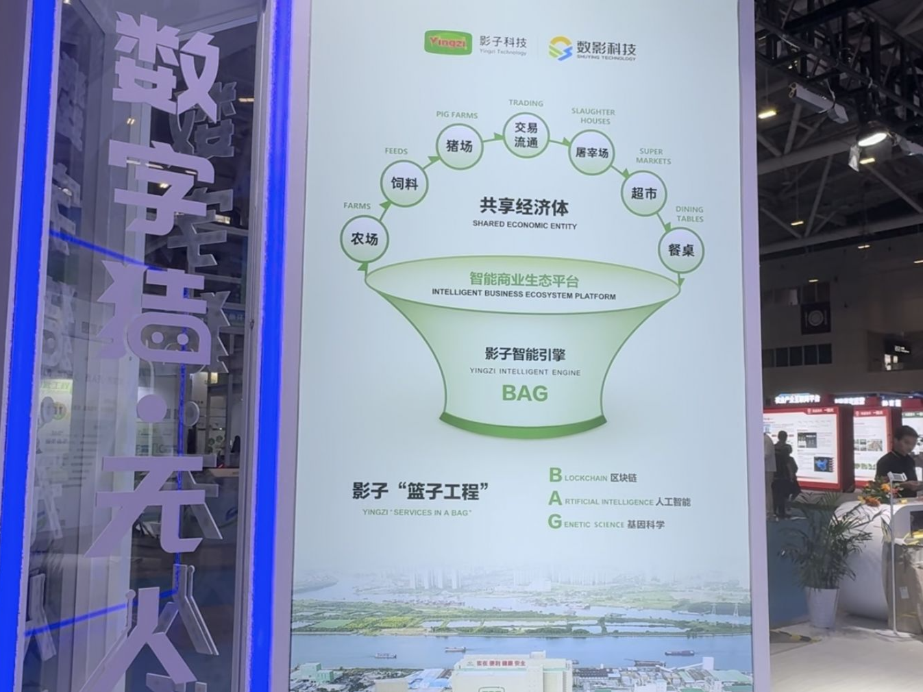 数影科技：智能化养猪解决方案，提升效率与降低成本 | 聚焦高交会