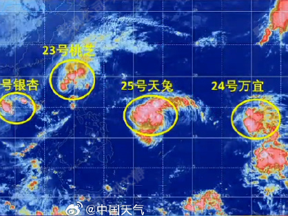 为何台风组团来？11月“四台共舞”为有气象记录以来首次