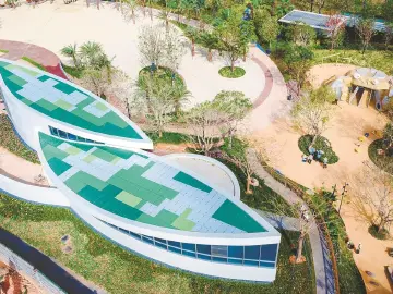 晶报特别报道 | 后海湾畔的深圳、世界与未来