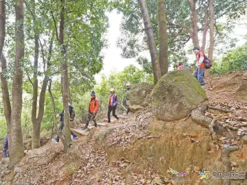 晶报特别报道 | 徒步深圳，捕捉繁华都市的野趣