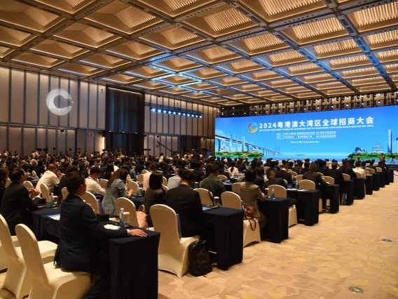 新华社：粤港澳大湾区招商大会举办彰显引资“强磁力” 