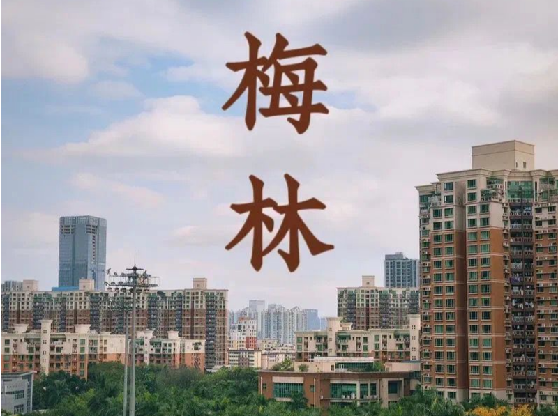 走进梅林街道兰江山第小区，探寻基层治理现代化新路径