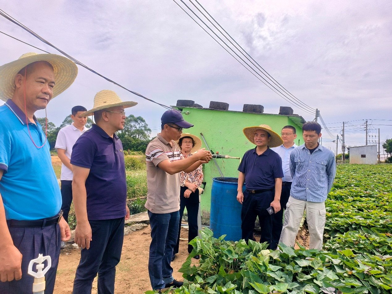 “零距离”为农户纾困解难，深圳农科专家赴汕头井都镇授“技”出良方