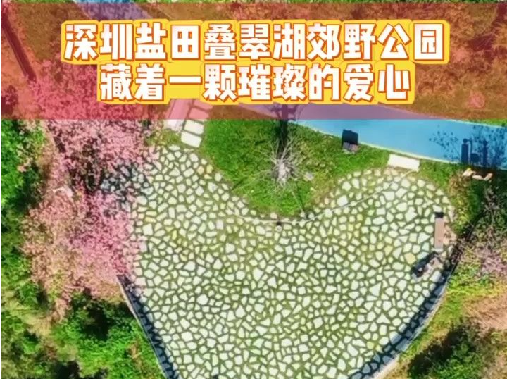 暖心一刻 | 深圳盐田叠翠湖郊野公园藏着一颗璀璨的爱心