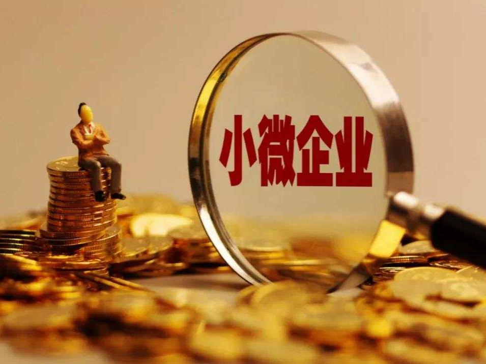政策“及时雨”助力小微企业破解融资难题丨思与辨