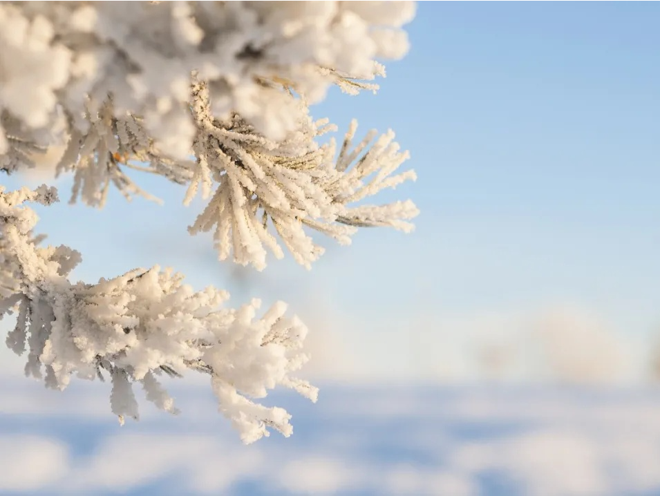 专家科普｜大雪时节，养生要有“度” 