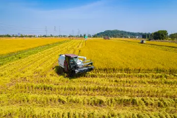明天截止报名！中山有志青年，快来逐梦乡村