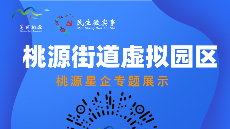 桃源街道邀请辖区企业入驻虚拟园区