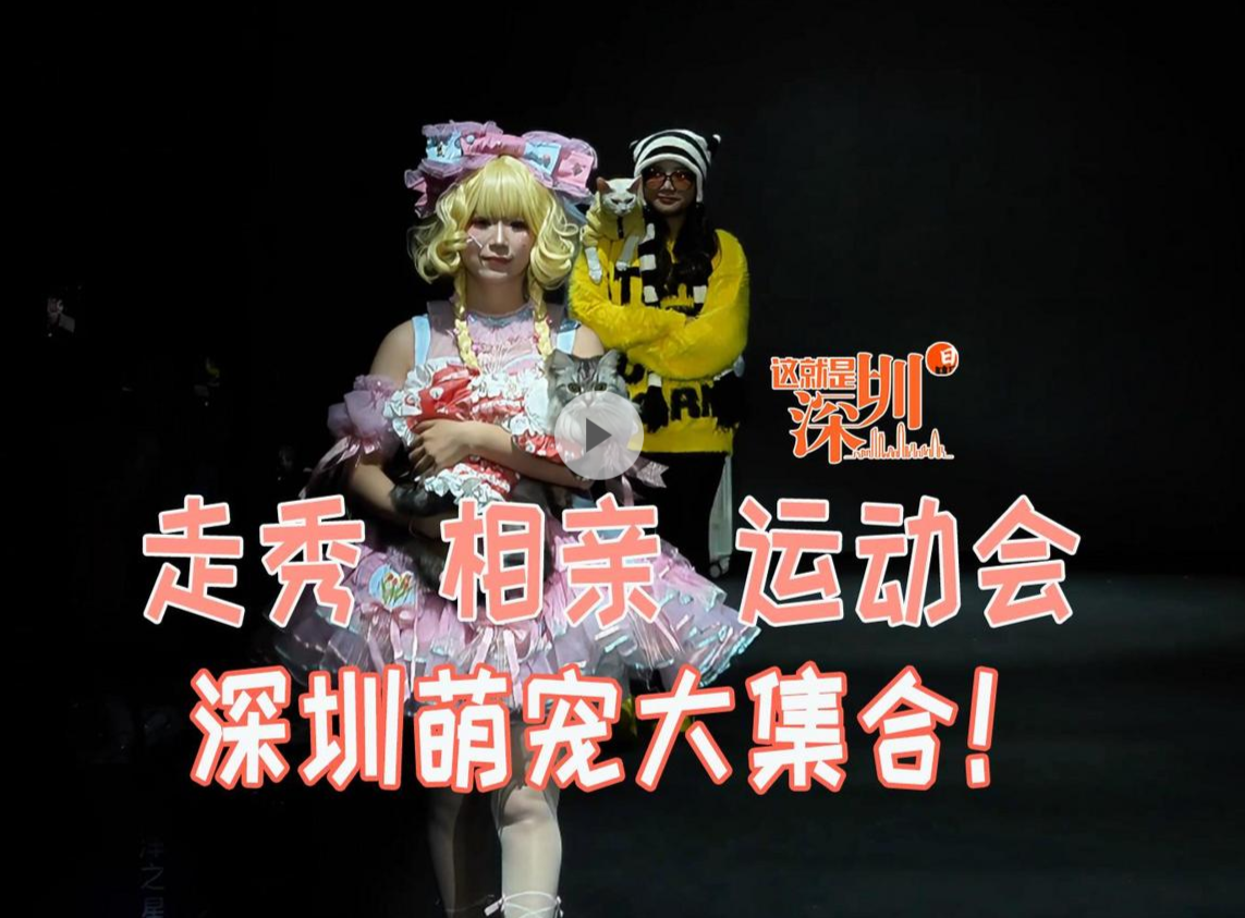 这就是深圳丨走秀 相亲 运动会 深圳萌宠大集合！