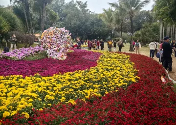 深圳东湖公园菊花展开幕 展区设置多个新颖创意装置
