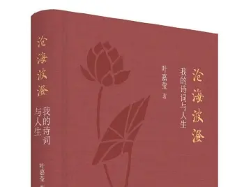 本周头条：她以诗词爱国，她以诗词报国丨人文天地·新阅读