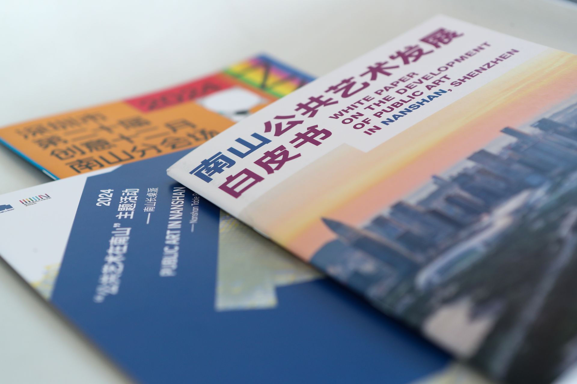 《南山公共艺术发展白皮书》发布