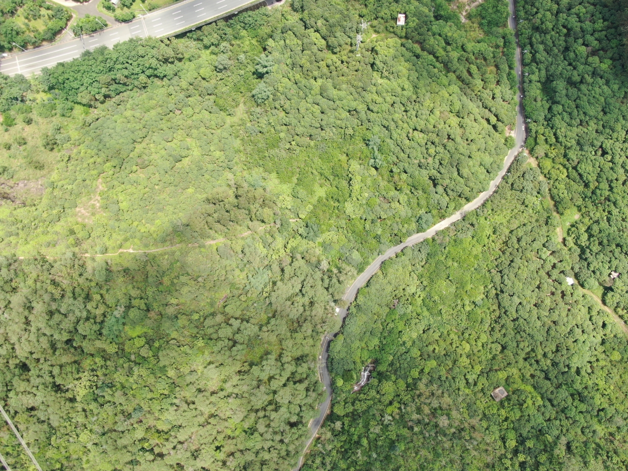 坪山区率先建立林地储备库，推进林地占补工作